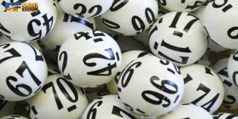 Anh em có thể tập hợp thành nhóm để tham gia dự đoán