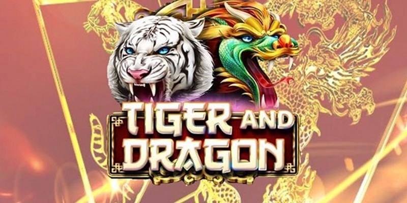 Mẹo Cược Rồng Hổ Mang Lại Chiến Thắng Vang Dội Tại DF999